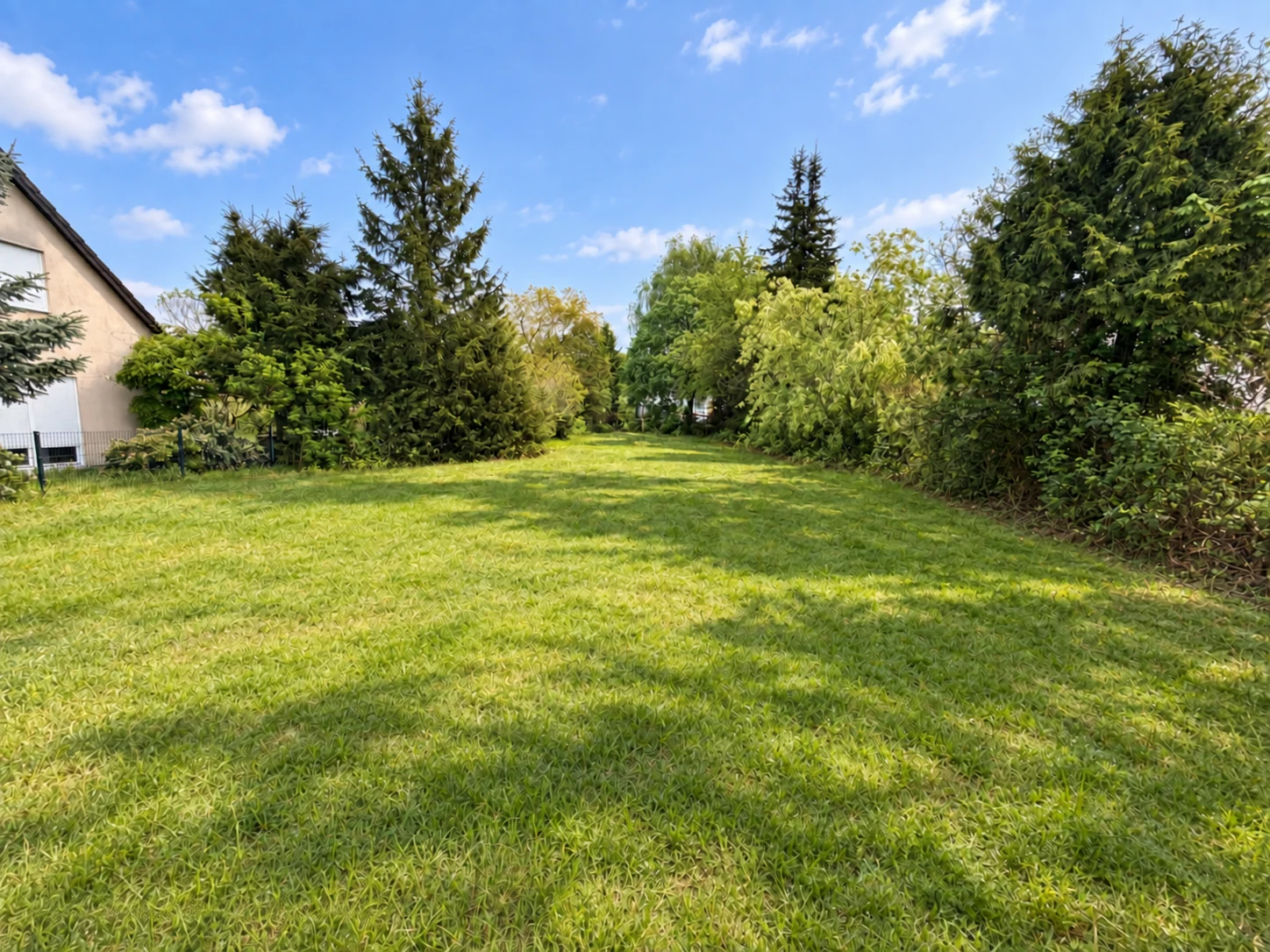 Grundstücksansicht in Thyrow mit Wiese, Baumbestand und Nachbarhaus links